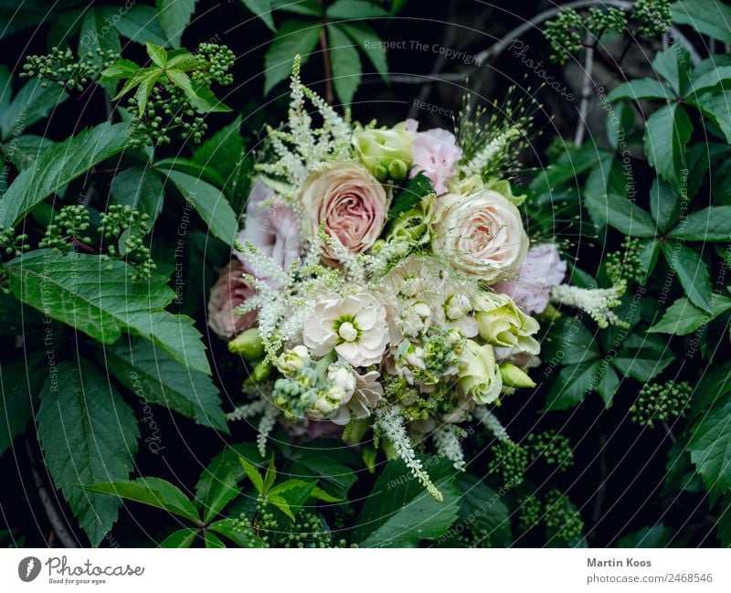 Blumenstrauß elegant Feste & Feiern Muttertag Hochzeit Pflanze Sträucher Rose Blatt Blüte Ornament Gefühle Glück Frühlingsgefühle Vertrauen Geborgenheit