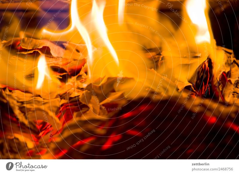 Brennende Akten Feuer Brand brennen Flamme Heizung heiß Wärme Brennholz Herd & Backofen Ofenheizung verbrannt Versicherung Papierkorb aktenvernichtung