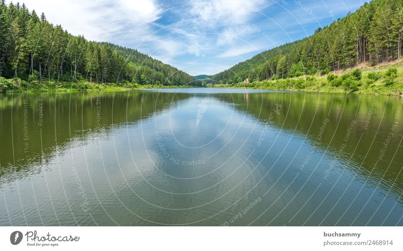 Talsperre im Schwarzwald Ferien & Urlaub & Reisen Tourismus Ausflug wandern Energiewirtschaft Erneuerbare Energie Wasserkraftwerk Energiekrise Umwelt Natur