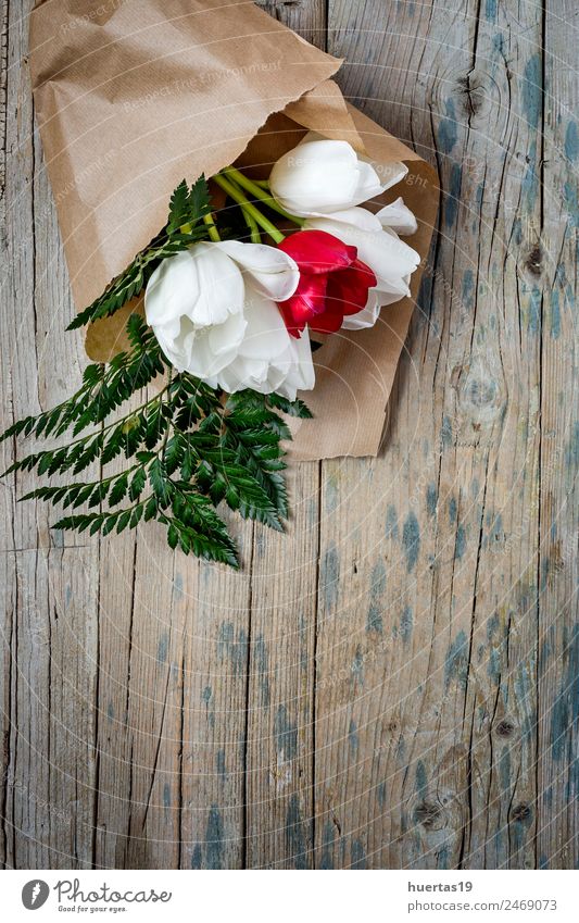 Blumiger Hintergrund mit roten und weißen Tulpen Lifestyle elegant Stil Design Valentinstag Natur Pflanze Blume Blatt Blumenstrauß natürlich grün Farbe