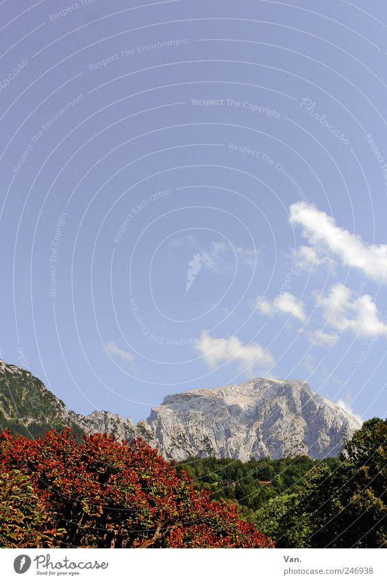 Kehlstein Erholung ruhig Ferien & Urlaub & Reisen Tourismus Ausflug Berge u. Gebirge wandern Natur Landschaft Himmel Wolken Schönes Wetter Baum Felsen Alpen