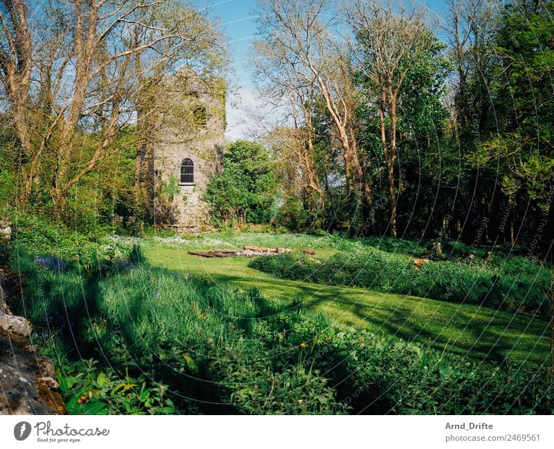 Irland - Renville Castle Ferien & Urlaub & Reisen Tourismus Ausflug Ferne Sightseeing Sommer Sommerurlaub Natur Landschaft Frühling Schönes Wetter Baum Gras