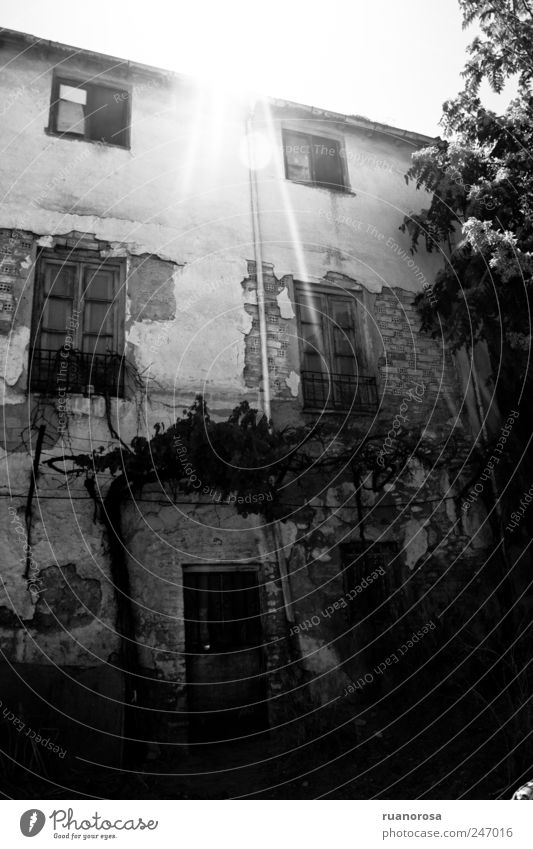Altstadt Haus Einfamilienhaus Ruine Fassade alt Armut gruselig ausgesetzt glänzend Schwarzweißfoto Außenaufnahme Menschenleer Tag Licht Schatten