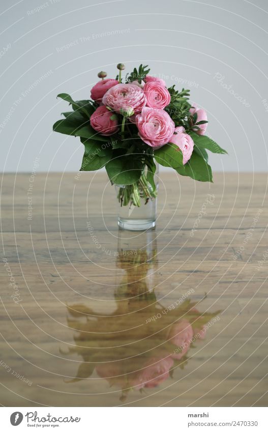 für DICH Natur Pflanze Gefühle Stimmung Glück Sympathie Zusammensein Liebe Verliebtheit Romantik Ranunkel Blumenstrauß rosa Muttertag Geburtstag Überraschung