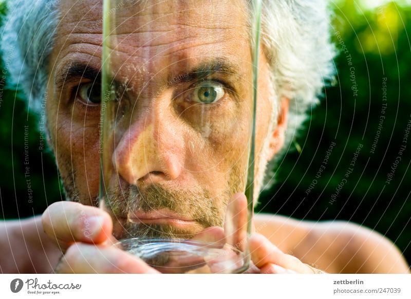 Durchblick Garten maskulin Mann Erwachsene Gesicht Auge Nase Mund 45-60 Jahre Pflanze Glas Blick Wachstum Schrebergarten Starrer Blick direkt Farbfoto