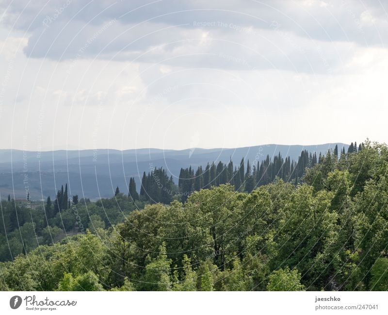 Landschaft #7665 Umwelt Natur Wolken Gewitterwolken Klima Schönes Wetter schlechtes Wetter Unwetter Baum Wald Hügel grün Ferien & Urlaub & Reisen mediterran