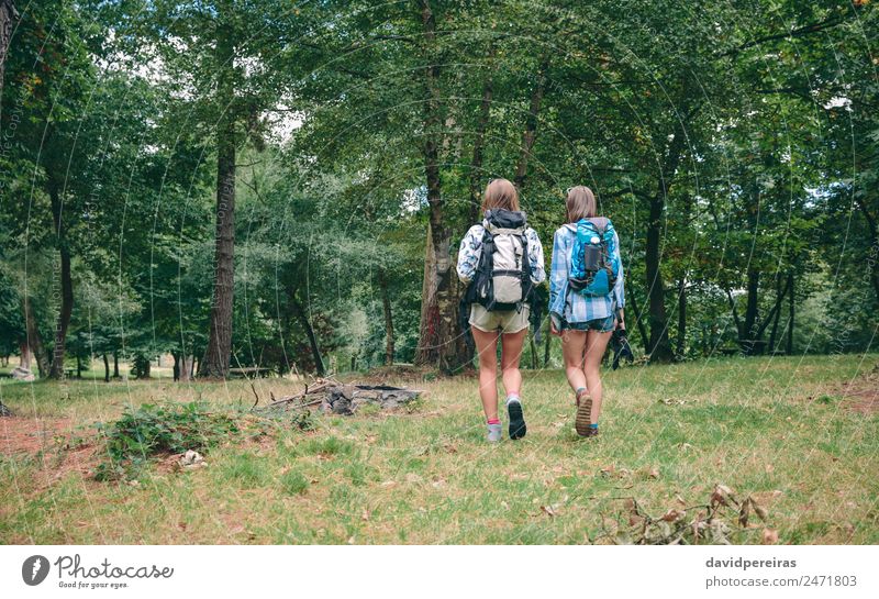 Zwei Freundinnen mit Rucksäcken beim Gehen Lifestyle Freude Glück Freizeit & Hobby Ferien & Urlaub & Reisen Ausflug Abenteuer Camping Sommer Berge u. Gebirge