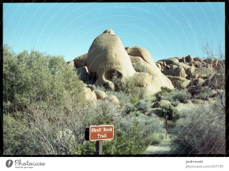 Skull Rock Natur Wolkenloser Himmel Sträucher Wüste Zeichen Hinweisschild außergewöhnlich authentisch fantastisch natürlich einzigartig skurril Wege & Pfade