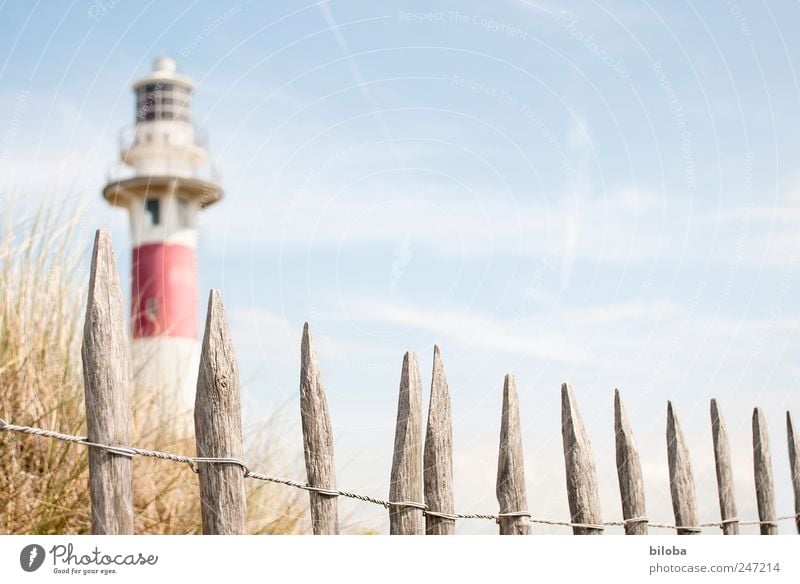 Leuchtturmromantik Gras Küste Nordsee Menschenleer Turm Sehenswürdigkeit Wahrzeichen blau rot weiß Fernweh Sicherheit Zaun Holzpfahl Düne Schifffahrt Navigation