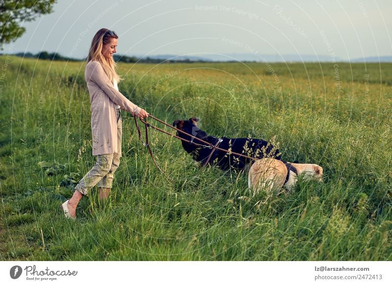 Blonde Frau geht bei Sonnenuntergang mit ihren Hunden spazieren. Lifestyle schön Sommer Erwachsene Freundschaft 45-60 Jahre Natur Landschaft Tier Wärme Gras