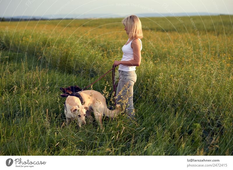 Blonde Frau geht bei Sonnenuntergang mit ihren Hunden spazieren. Lifestyle schön Sommer Erwachsene Freundschaft 1 Mensch 45-60 Jahre Natur Landschaft Tier Wärme