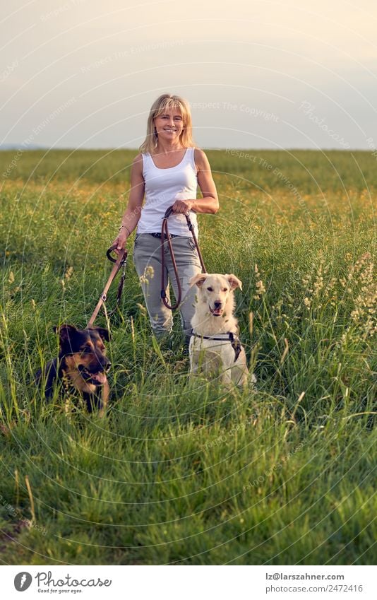 Attraktive Frau auf einem Feld mit Hunden bei Sonnenuntergang Lifestyle schön Sommer Erwachsene Freundschaft 1 Mensch 45-60 Jahre Natur Landschaft Tier Wärme