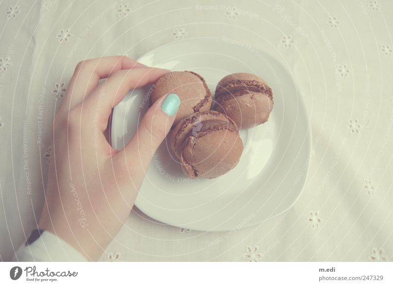 Macarons Süßwaren Schokolade Hand Finger festhalten Nagellack türkis Innenaufnahme Tag