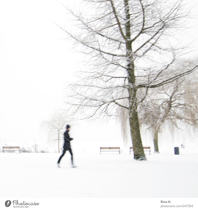 Einmal um die Alster [ Jogger im Schnee] Lifestyle Joggen Mensch 1 Landschaft schlechtes Wetter Baum Park Mütze laufen hell kalt weiß diszipliniert Bewegung