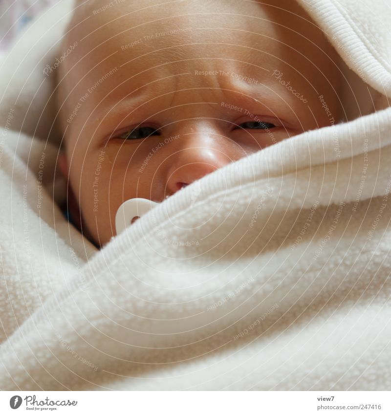 Skeptiker Mensch maskulin Kind Baby Haut Kopf 1 0-12 Monate authentisch einfach frisch einzigartig Glück Begeisterung Vertrauen Sicherheit Schutz Geborgenheit