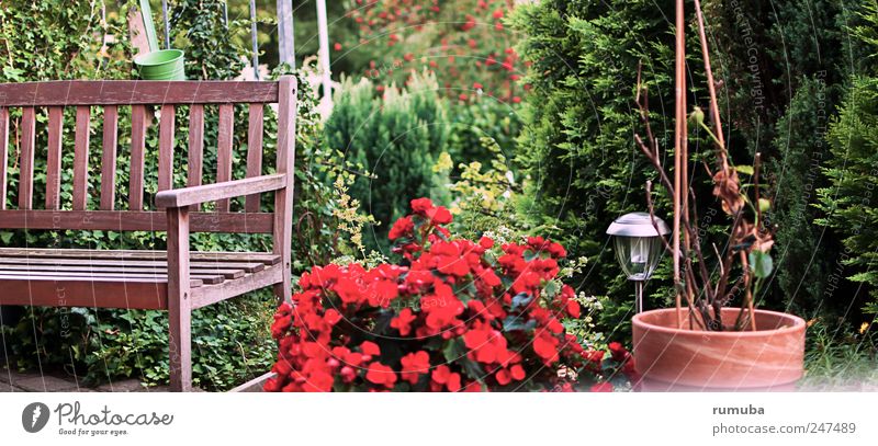 Terrassen-Idylle Freizeit & Hobby Garten Natur Pflanze Sommer Schönes Wetter Sträucher Blüte Topfpflanze Erholung genießen Häusliches Leben braun grün rot