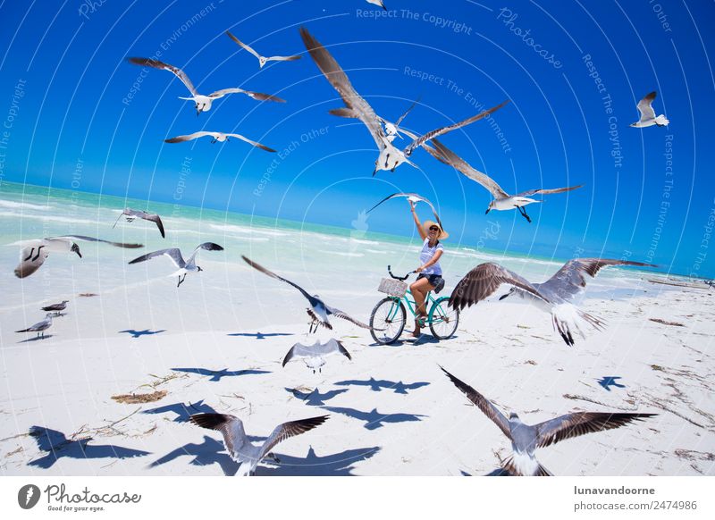 Frau auf dem Fahrrad am Strand, umgeben von Möwen. Lifestyle exotisch Freude Freizeit & Hobby Sport Fahrradfahren Erwachsene 1 Mensch 13-18 Jahre Jugendliche