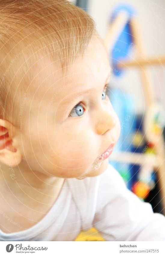 blue eyes Baby Junge Kopf Haare & Frisuren Gesicht Auge Ohr Nase Mund Lippen 0-12 Monate Schutz Geborgenheit Neugier Interesse sabbern Blick Spielen schön