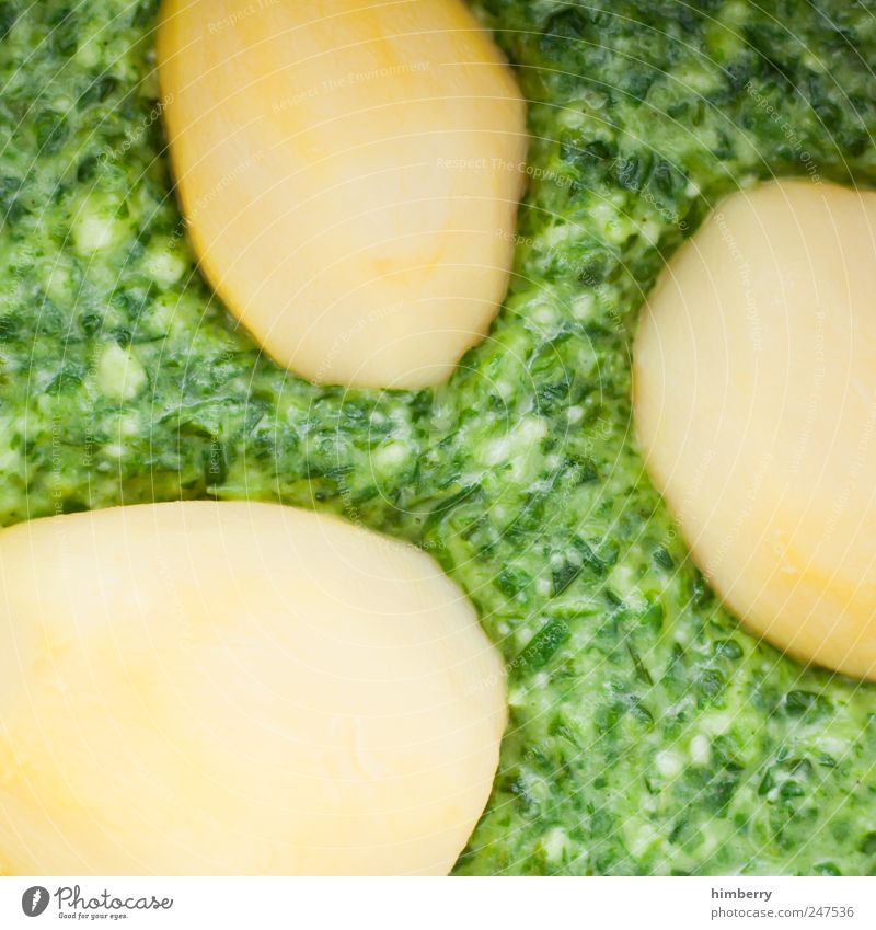 hungerlohn Lebensmittel Gemüse Suppe Eintopf Ernährung Mittagessen Bioprodukte Vegetarische Ernährung Gesundheit Design Kraft Leistung Spinat Spinatblatt