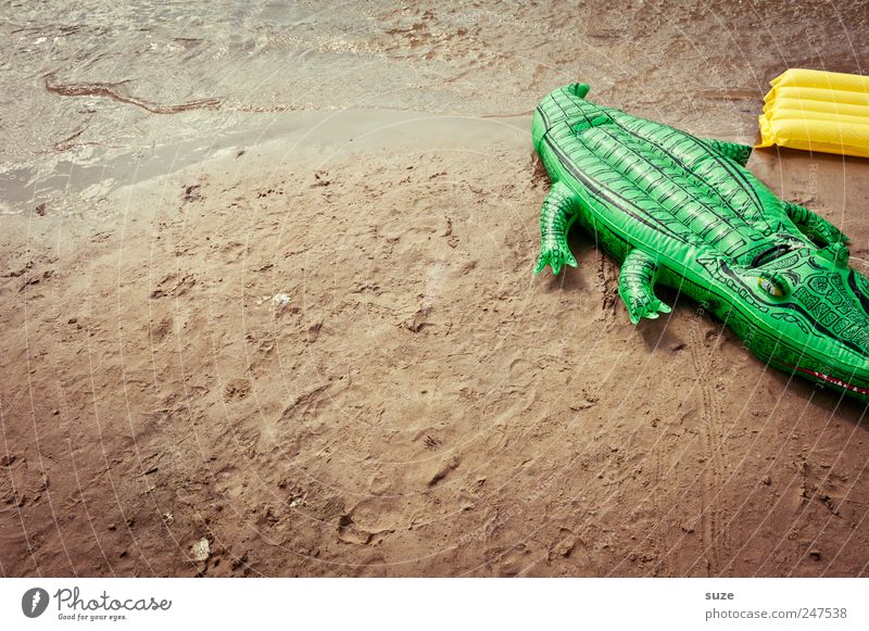 Luftikus Freizeit & Hobby Sommer Sommerurlaub Strand Kindheit Sand Spielzeug lustig grün Krokodil Luftmatratze kindlich Farbfoto mehrfarbig Außenaufnahme