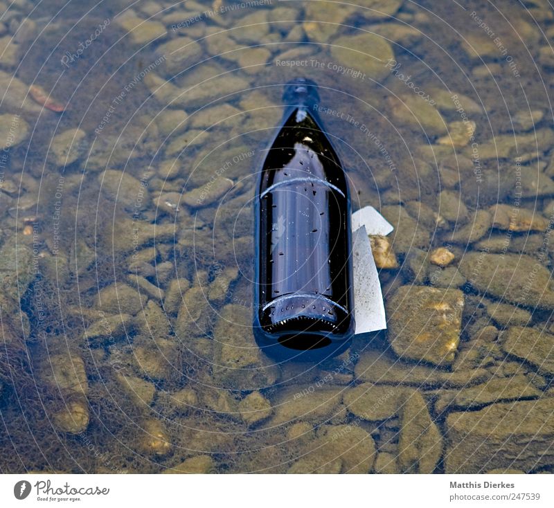 Flasche Getränk Bier Umwelt Umweltverschmutzung Bierflasche Glas achtlos Farbfoto Außenaufnahme Menschenleer Textfreiraum links Textfreiraum rechts Wasserlache