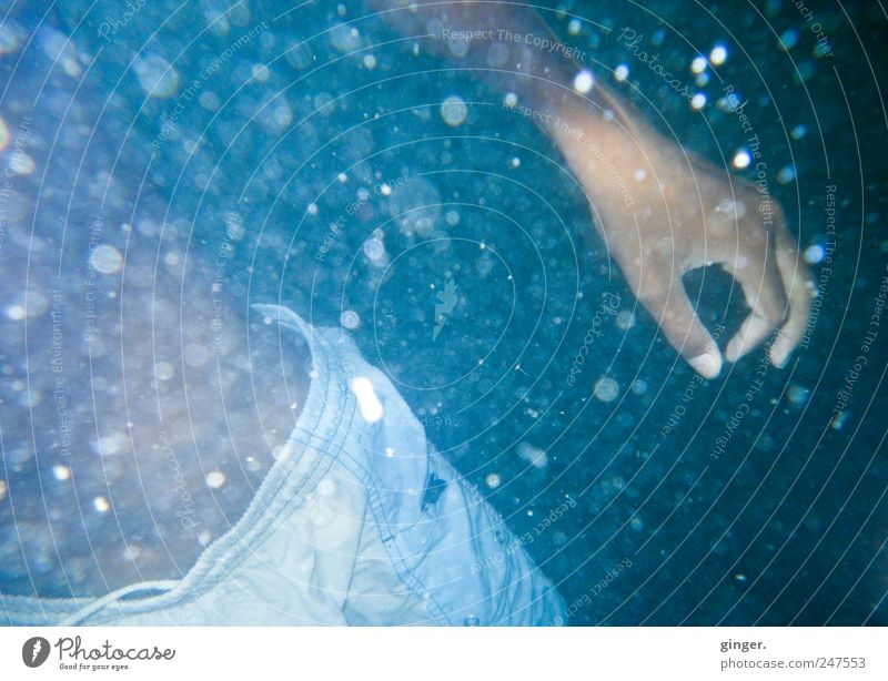 Wasserqualität 1A Hand Finger Bauch Umwelt Meer Schwimmen & Baden tauchen Badehose Körperteile Luftblase Freizeit & Hobby zeigen blau Punkt Farbfoto