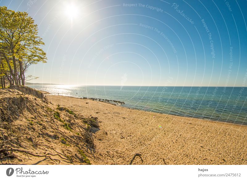 Strand an der polnischen Ostseeküste Natur Tourismus Polen ein menschenleer natürlich Bäume Dünen Sandstrand Himmel blau Sonne Gegenlicht Urlaub