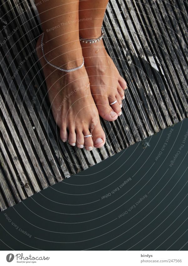 Schmucke Füße Stil harmonisch Sommer feminin Fuß 1 Mensch Wasser Seeufer Ring Fußkette Zehenring genießen stehen ästhetisch elegant trendy schön einzigartig