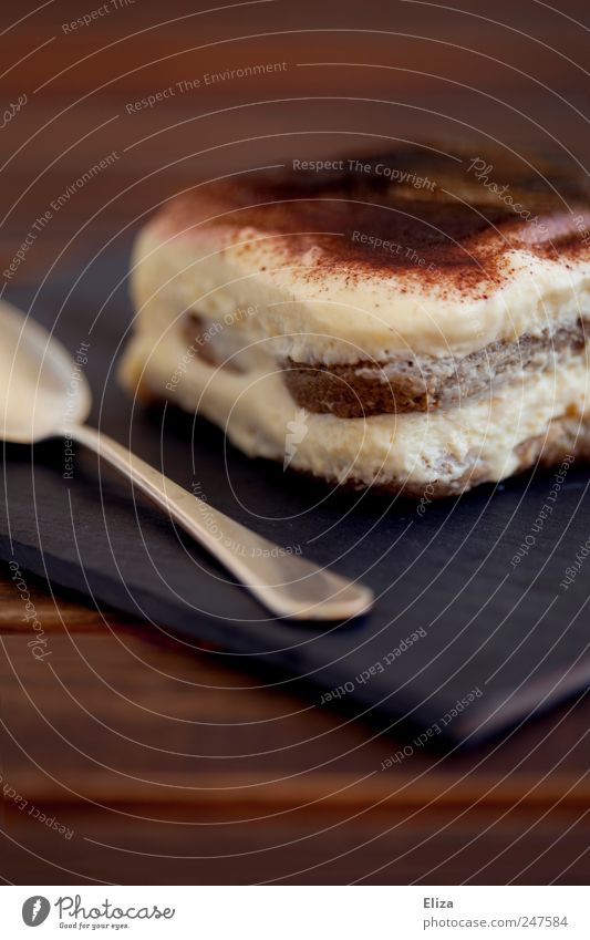 Ein Stück Tiramisu Kaffeetrinken Löffel süß Dessert lecker Schokolade genießen braun Speise cremig Menschenleer Textfreiraum oben Schwache Tiefenschärfe