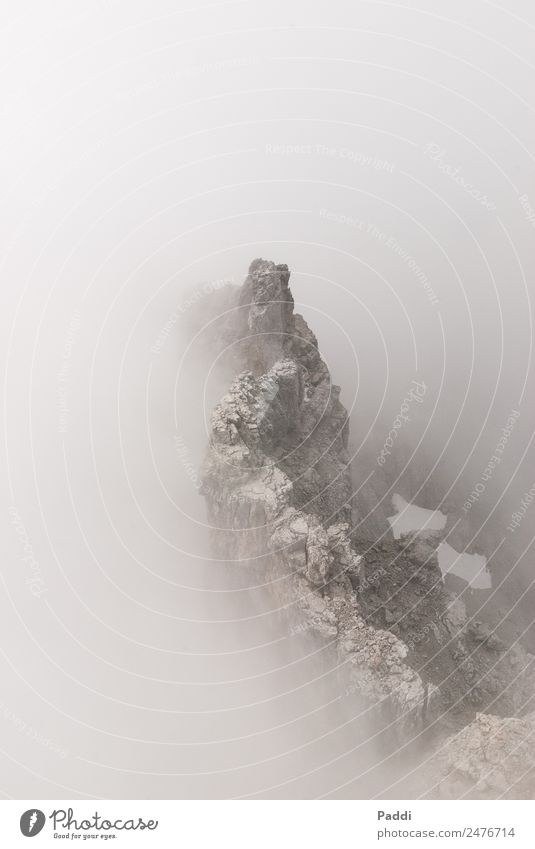 Nebelgipfel Sport wandern Berge u. Gebirge Bergsteigen Umwelt Natur Landschaft Wolken Wetter schlechtes Wetter Wind Gipfel Abenteuer Angst erleben Watzmann