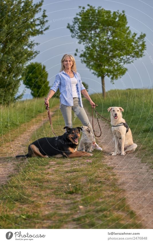 Attraktive Frau auf einem ländlichen Weg mit Hunden bei Sonnenuntergang Lifestyle schön Sommer Erwachsene Freundschaft 1 Mensch Natur Landschaft Tier Wärme