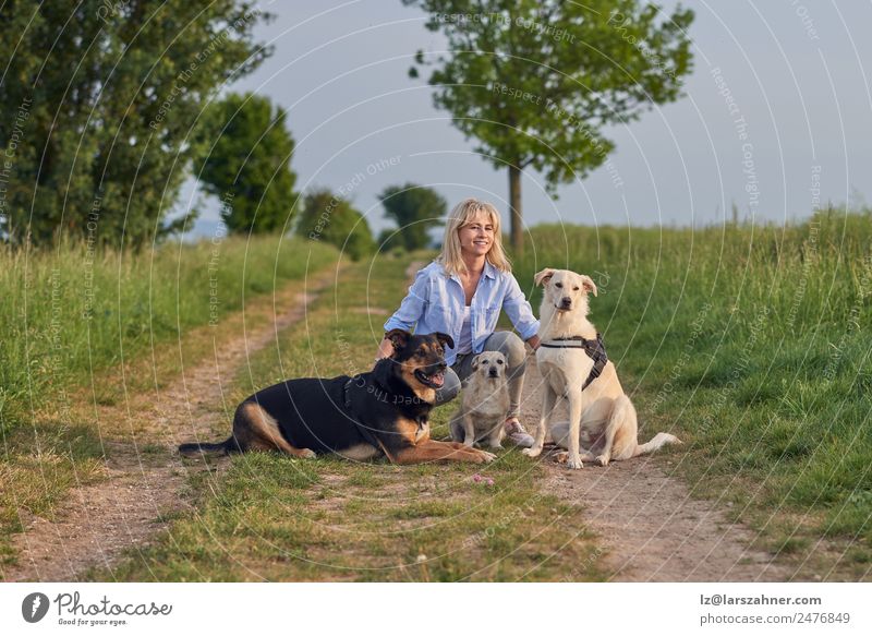 Attraktive Frau auf einem ländlichen Weg mit Hunden bei Sonnenuntergang Lifestyle Sommer Erwachsene Freundschaft 1 Mensch 45-60 Jahre Natur Landschaft Tier
