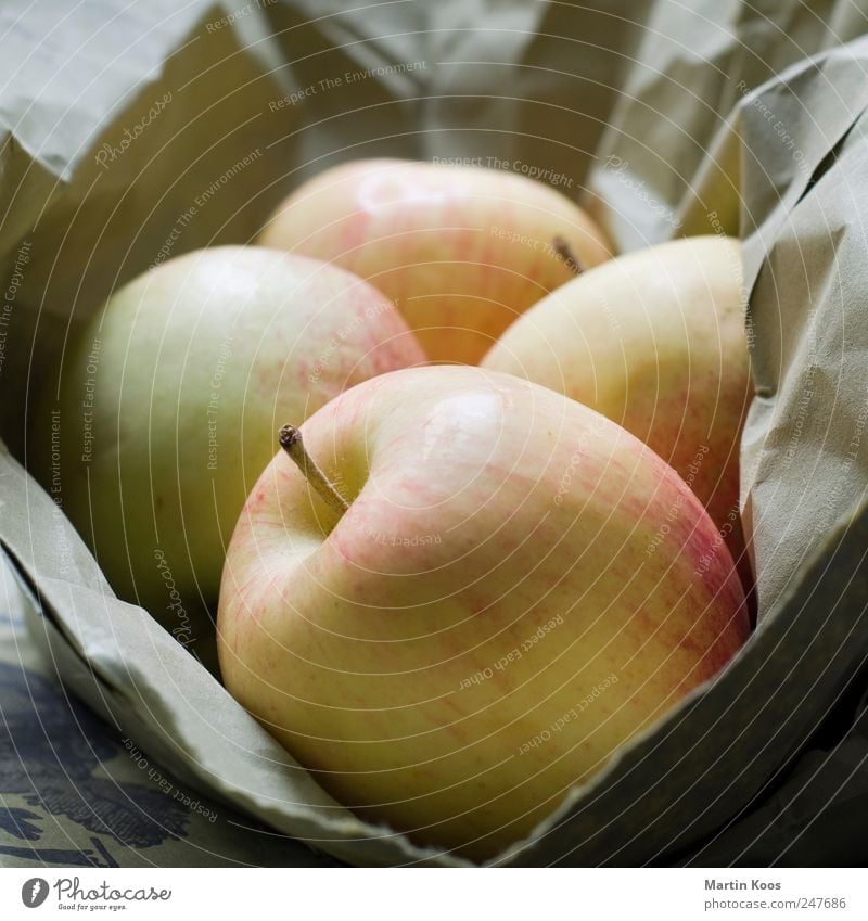 Äpfel Lebensmittel Frucht Apfel Ernährung Bioprodukte Vegetarische Ernährung Gesundheit lecker natürlich rund sauer süß Farbfoto Innenaufnahme Nahaufnahme