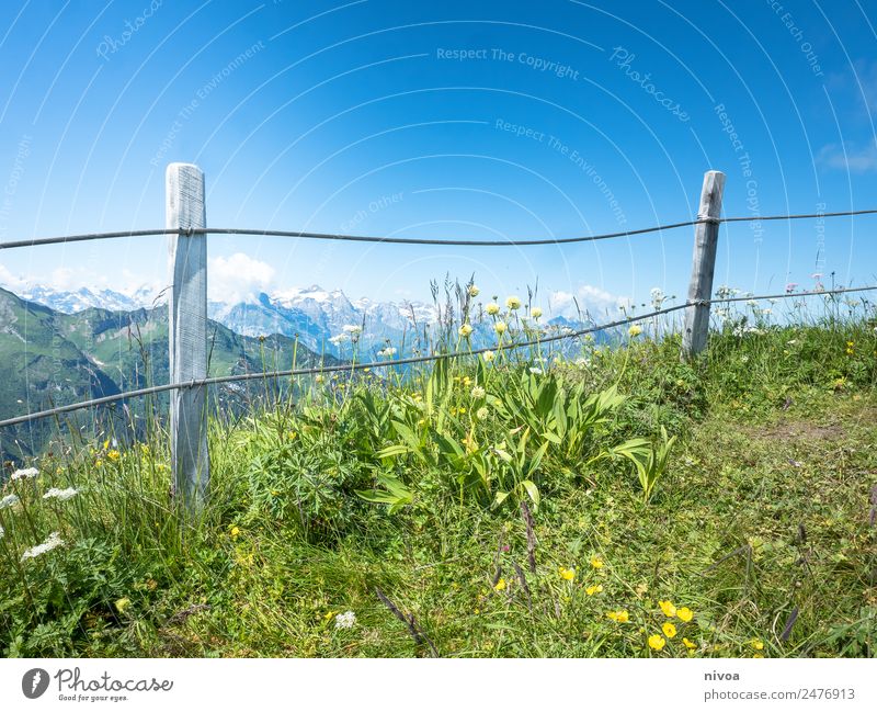 Blick vom Stoos auf die Alpen Ferien & Urlaub & Reisen Ausflug Abenteuer Ferne Freiheit Sommer Berge u. Gebirge wandern Umwelt Natur Himmel Gras stoos Schweiz