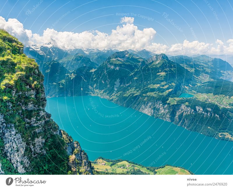 Blick vom Stoos auf den Vierwaldstättersee Ausflug Ferne Freiheit Sommer Berge u. Gebirge wandern Umwelt Natur Landschaft Seeufer Vierwaldstätter See Schweiz