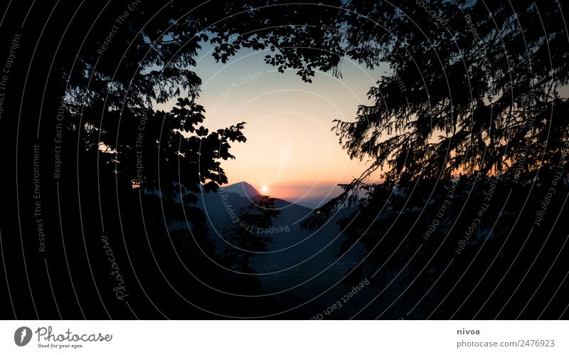 Sonnenuntergang eingerahmt von Bäumen Stoos/Schweiz Ausflug Abenteuer Ferne Freiheit Berge u. Gebirge wandern Umwelt Natur Landschaft Baum beobachten entdecken