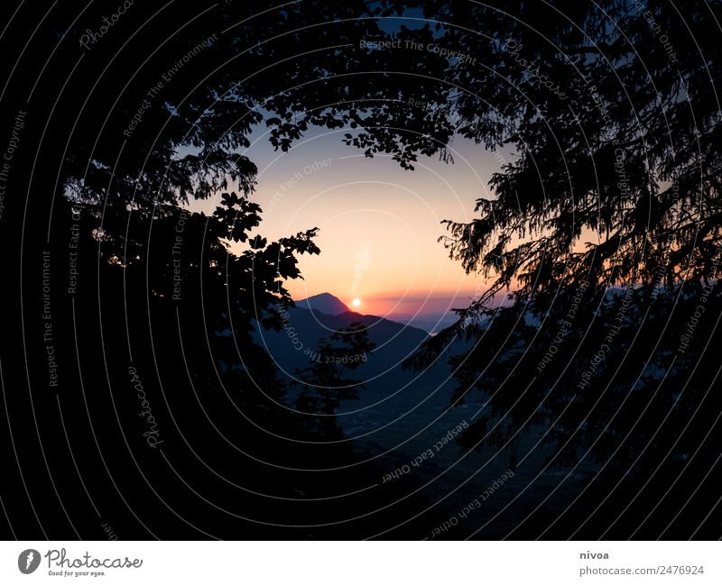 Sonnenuntergang eingerahmt von Bäumen, Stoos/Schweiz Ausflug Abenteuer Ferne Freiheit wandern Umwelt Natur Landschaft Himmel Berge u. Gebirge beobachten Denken