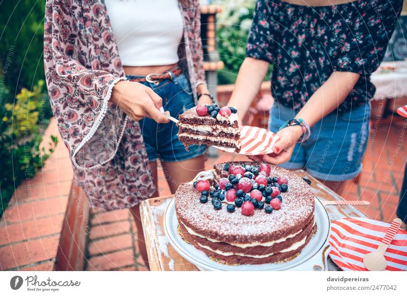 Frau serviert Schokoladenkuchen auf einem Sommerfest. Dessert Teller Lifestyle Freude Glück Freizeit & Hobby Garten Feste & Feiern Erwachsene Freundschaft Hand