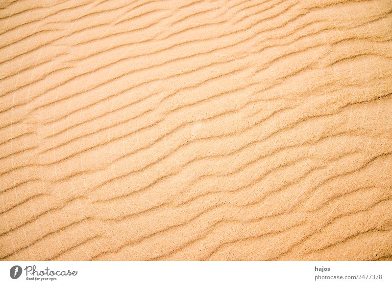 Sandstrand mit Linien Sommer Strand Tourismus Muster Wellenform Wellenlinien formatfüllend Textfreiraum ausdruckslos Naturschutzgebiet Hintergrund