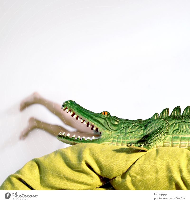 lacotze Mensch maskulin Mann Erwachsene Beine Fuß 1 Tier Wildtier Fressen Krokodil Unfall Reptil Zähne Gebiss Todesangst Alptraum grün Drache Appetit & Hunger