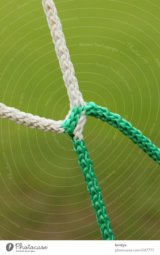 Verknüpfung eines Fußballtornetzes,Detailansich Ballsport Fußballplatz Tornetz Netz grün weiß verknüpfung gespleist Seil 2-farbig Verbundenheit Spleißen