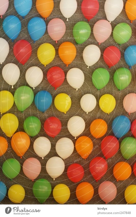 viele bunte Luftballons an der Wand einer Schießbude nur Luftballons Kinderspiel Feste & Feiern Jahrmarkt Kirmes angeordnet mehrfarbig Freude Farbe Kindheit