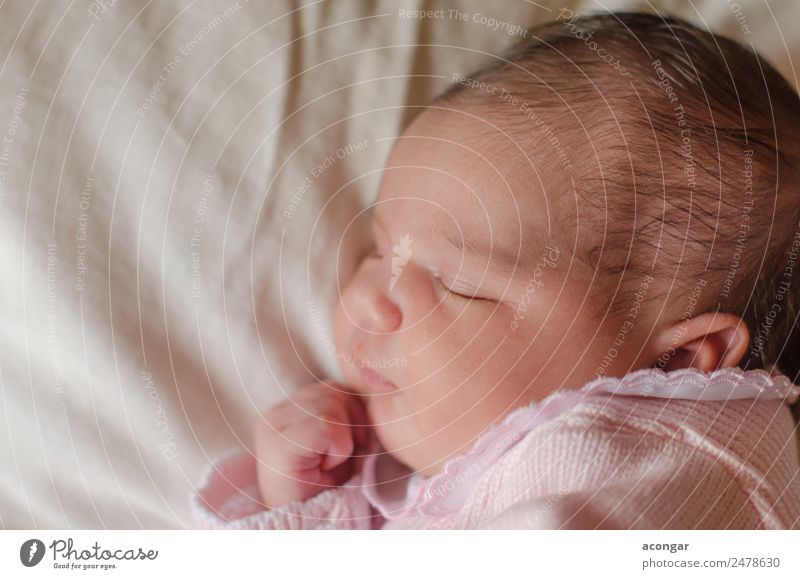 Schönes Neugeborenes schläft friedlich ein. Lifestyle elegant Mensch feminin Kind Baby Mädchen Kindheit Gesicht 1 0-12 Monate schlafen Freundlichkeit
