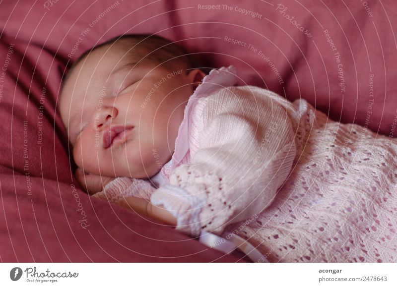 Schönes Neugeborenes schläft friedlich ein. Lifestyle Mensch feminin Kind Baby Mädchen Körper 1 0-12 Monate schlafen elegant Gefühle Geborgenheit Liebe träumen