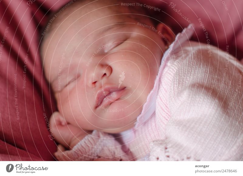 Schönes Neugeborenes schläft friedlich ein. Lifestyle schön Gesicht Mensch feminin Kind Baby Mädchen Kindheit 1 0-12 Monate schlafen Gefühle Sicherheit Schutz