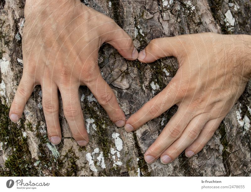 Alte Liebe Mann Erwachsene Hand Finger 30-45 Jahre Baum Zeichen Herz Kommunizieren authentisch natürlich Sympathie Freundschaft Verliebtheit Romantik