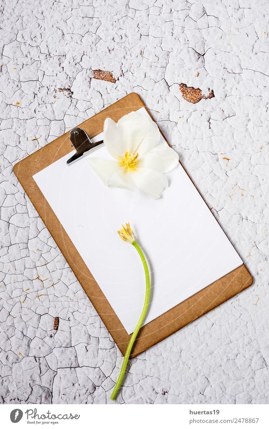 Klemmbrett mit Blumen auf weißem Hintergrund Lifestyle Stil Design Valentinstag Wissenschaften Arbeit & Erwerbstätigkeit Büroarbeit Papier Liebe Zwischenablage