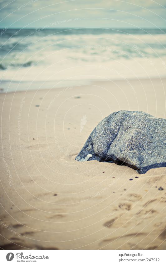 Steinchen in der Brandung Landschaft Küste Strand Nordsee Dänemark natürlich Fußspur Tag Schwache Tiefenschärfe