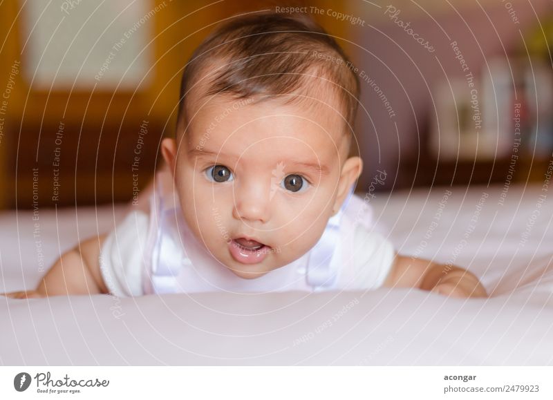 Porträt eines drei Monate alten Babys schön Mensch feminin Mädchen Kindheit Gesicht 1 0-12 Monate Geborgenheit Sympathie süß niedlich lügen Farbfoto
