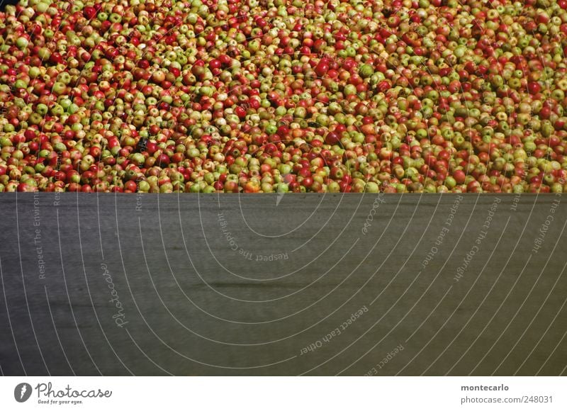 Äpfel für alle.. Lebensmittel Frucht Apfel saftig mehrfarbig grau grün rot Farbfoto Außenaufnahme Textfreiraum unten Tag Sonnenlicht Totale Blick in die Kamera